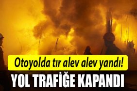 kocaeli yangin otoyol