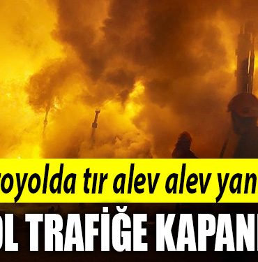 kocaeli yangin otoyol