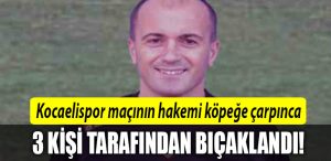 kocaelispor hakem