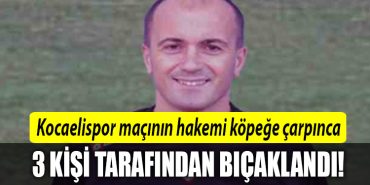 kocaelispor hakem
