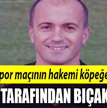 kocaelispor hakem