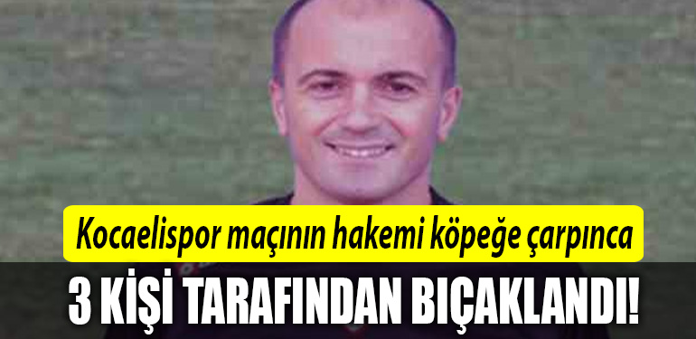 kocaelispor hakem
