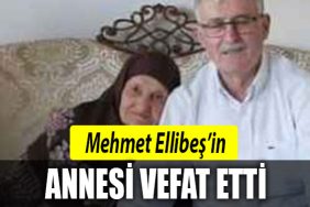 mehmet ellibes
