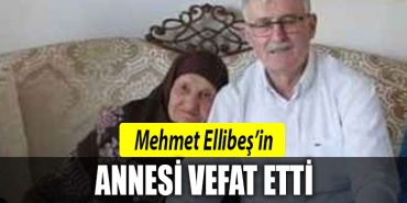 mehmet ellibes