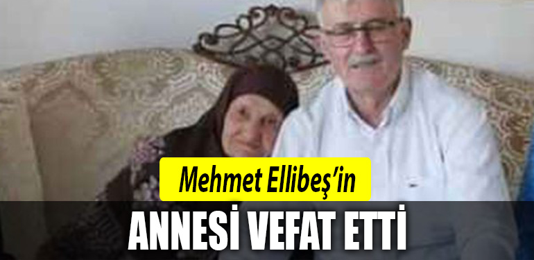 mehmet ellibes