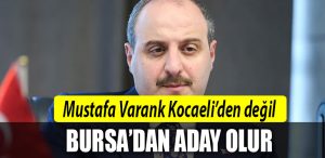 mustafa varank kocaeli
