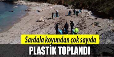 sardala koyu plastik