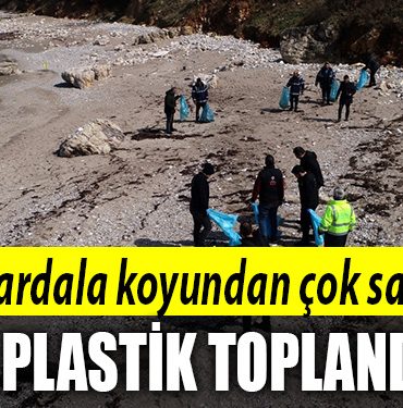 sardala koyu plastik