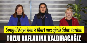songul kaya