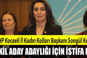 songul kaya milletvekili aday adayi