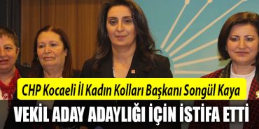 songul kaya milletvekili aday adayi