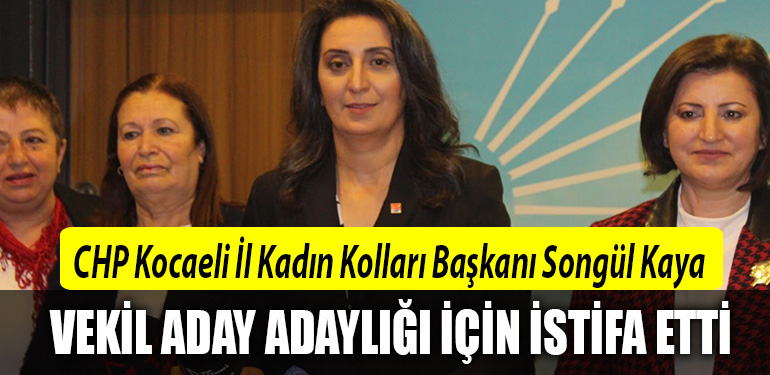 songul kaya milletvekili aday adayi