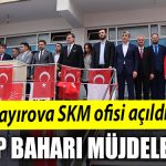CHP