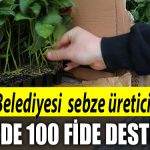 Izmit Belediyesi ortu alti sebze ureticilerine Yuzde 100 fide desteginde bulunacak