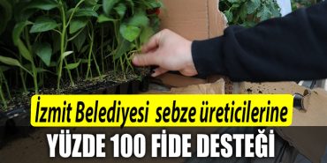 Izmit Belediyesi ortu alti sebze ureticilerine Yuzde 100 fide desteginde bulunacak