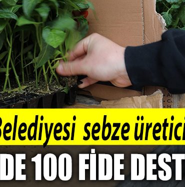 Izmit Belediyesi ortu alti sebze ureticilerine Yuzde 100 fide desteginde bulunacak