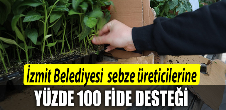 Izmit Belediyesi ortu alti sebze ureticilerine Yuzde 100 fide desteginde bulunacak