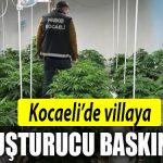 KOCAELI uyusturucu kandira
