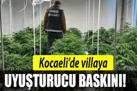 KOCAELI uyusturucu kandira