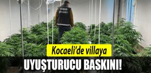 KOCAELI uyusturucu kandira