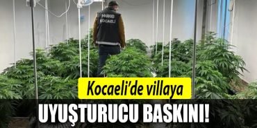 KOCAELI uyusturucu kandira