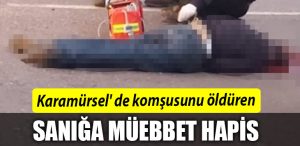 Kocaeli de komsusunu olduren saniga muebbet hapis
