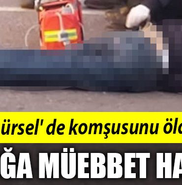 Kocaeli de komsusunu olduren saniga muebbet hapis