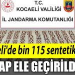 Kocaelide bin 115 sentetik ecza hap ele gecirildi