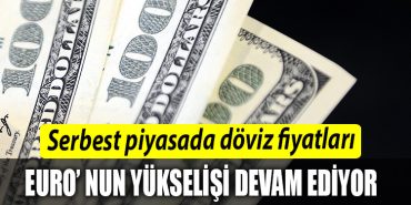 Serbest piyasada doviz fiyatlari