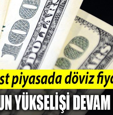 Serbest piyasada doviz fiyatlari