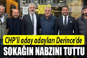 chp derince