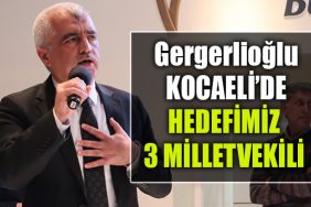 gergerlioglu kocaeli