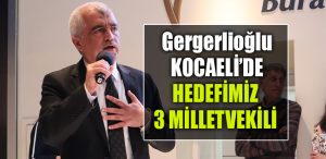 gergerlioglu kocaeli