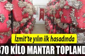 izmit belediyesi mantar
