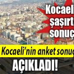 kocaeli anket