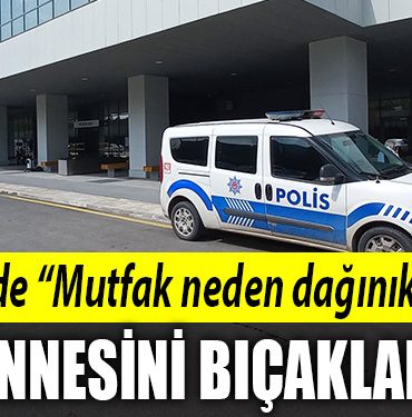 kocaeli annesini bicakladi