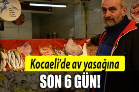 kocaeli av yasagi