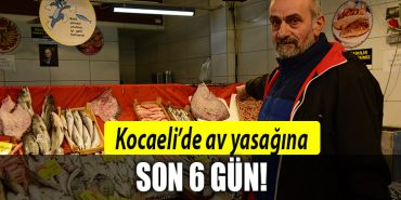 kocaeli av yasagi