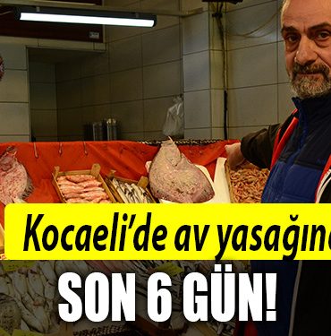 kocaeli av yasagi