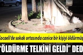 kocaeli cinahet