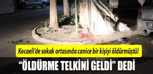 kocaeli cinahet
