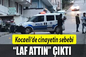 kocaeli cinayet 1