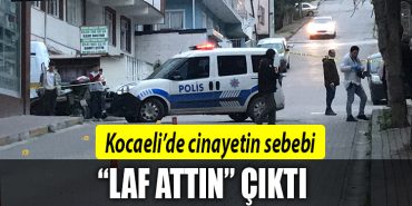 kocaeli cinayet 1