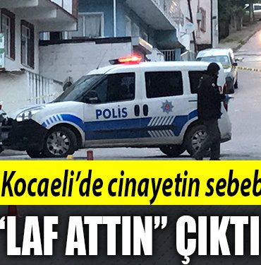 kocaeli cinayet 1
