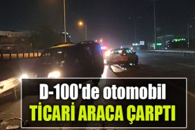 kocaeli d 100 kaza