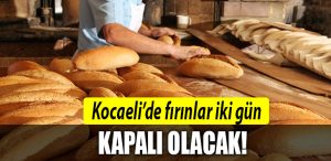 kocaeli firin