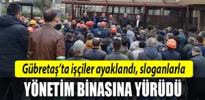 kocaeli gubretas
