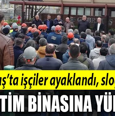 kocaeli gubretas