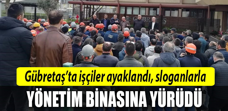 kocaeli gubretas