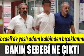 kocaeli katil